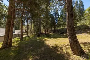 36333 Finegold Creek, North Fork, CA 93643 - Photo 61