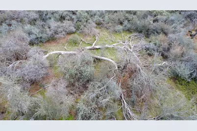 0 Apn 195-070-01, Miramonte, CA 93641 - Photo 11