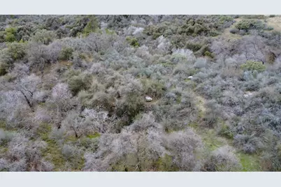 0 Apn 195-070-01, Miramonte, CA 93641 - Photo 17