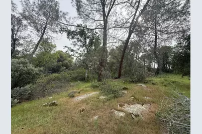 0 Sunshine Terrace Dr, Coarsegold, CA 93614 - Photo 9