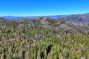 7141 Snyder Ridge, Mariposa, CA 95338 - Photo 45