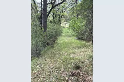 39 Anderson Valley Road, Coulterville, CA 95311 - Photo 23