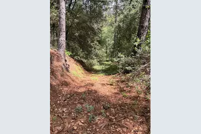 39 Anderson Valley Road, Coulterville, CA 95311 - Photo 21
