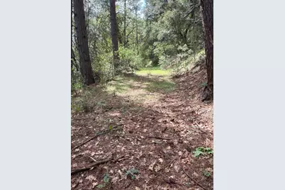39 Anderson Valley Road, Coulterville, CA 95311 - Photo 15