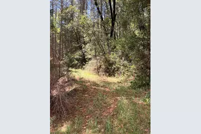 39 Anderson Valley Road, Coulterville, CA 95311 - Photo 13