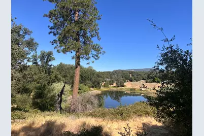 16 Lulniu Lane, Ahwahnee, CA 93601 - Photo 1