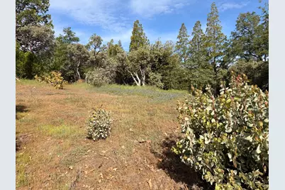 29 Manzanita Drive, Oakhurst, CA 93644 - Photo 3