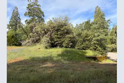 39333 Manzanita Drive, Oakhurst, CA 93644 - Photo 3