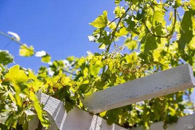 1101 Wildplum Court, Vacaville, CA 95687 - Photo 41