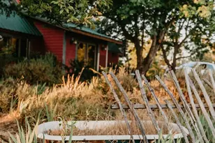 49100 Wickersham Rd, Geyserville, CA 95441 - Photo 13