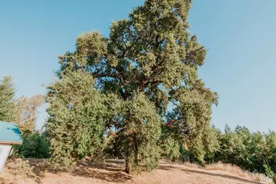 49100 Wickersham Road, Geyserville, CA 95441 - Photo 57