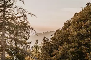 49100 Wickersham Rd, Geyserville, CA 95441 - Photo 9