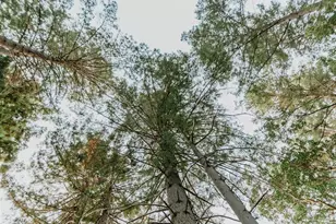 49100 Wickersham Rd, Geyserville, CA 95441 - Photo 91