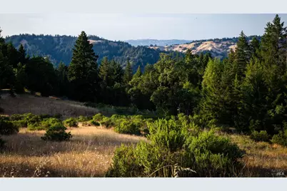 49100 Wickersham Road, Geyserville, CA 95441 - Photo 5