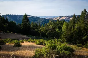 49100 Wickersham Rd, Geyserville, CA 95441 - Photo 5