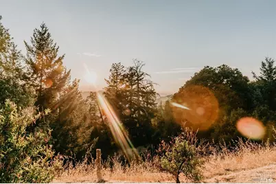 49100 Wickersham Road, Geyserville, CA 95441 - Photo 7