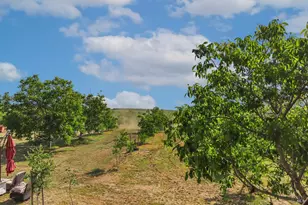 9192 Boyce Rd, Winters, CA 95694 - Photo 77