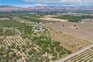 9192 Boyce Rd, Winters, CA 95694 - Photo 67