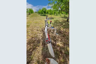 9192 Boyce Road, Winters, CA 95694 - Photo 59