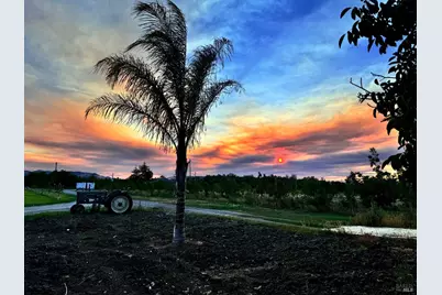 9192 Boyce Road, Winters, CA 95694 - Photo 89