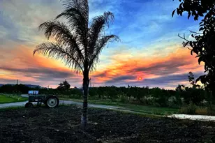 9192 Boyce Rd, Winters, CA 95694 - Photo 89