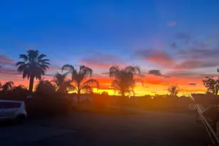 9192 Boyce Rd, Winters, CA 95694 - Photo 93