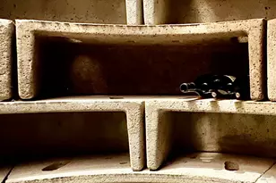 1060 Oakmont Ct, Napa, CA 94559 - Photo 27