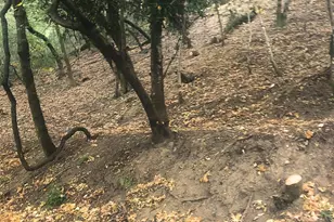 2016 Riverview Dr, Healdsburg, CA 95448 - Photo 1