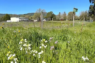 1025 Laurel Court, Sonoma, CA 95476 - Photo 3