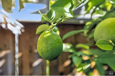 2321 Channing Place, Fairfield, CA 94533 - Photo 55