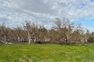 9415 Stevenson Bridge Rd, Winters, CA 95694 - Photo 7