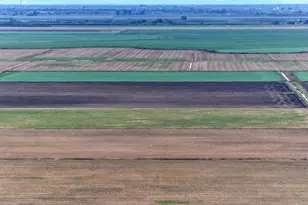 3834 State Hwy 84 None, Walnut Grove, CA 95690 - Photo 15