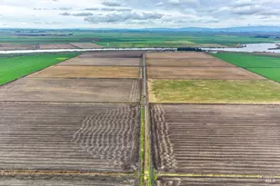 3834 State Hwy 84 None, Walnut Grove, CA 95690 - Photo 19