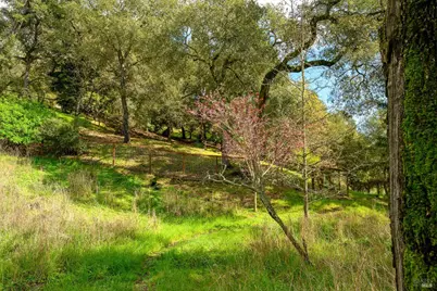 5275 Wikiup Court, Santa Rosa, CA 95403 - Photo 19