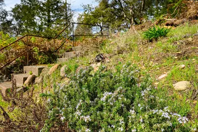 5275 Wikiup Court, Santa Rosa, CA 95403 - Photo 11