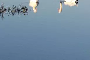 528 Wetlands Edge Rd, American Canyon, CA 94503 - Photo 5