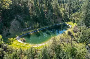 24301 King Ridge Rd, Cazadero, CA 95421 - Photo 85