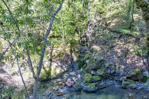 24301 King Ridge Rd, Cazadero, CA 95421 - Photo 67