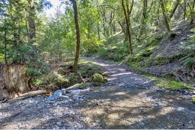 24301 King Ridge Road, Cazadero, CA 95421 - Photo 61