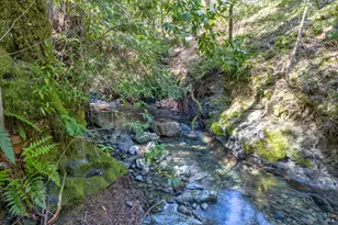 24301 King Ridge Rd, Cazadero, CA 95421 - Photo 63