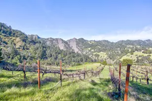 24301 King Ridge Rd, Cazadero, CA 95421 - Photo 75
