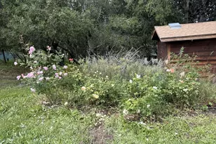 1426 Darby Rd, Sebastopol, CA 95472 - Photo 41