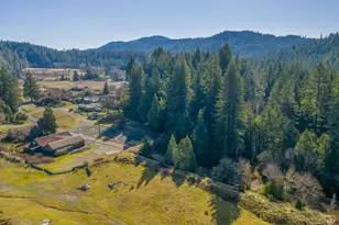 14321 Branscomb Rd, Branscomb, CA 95417 - Photo 29