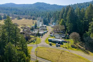 14321 Branscomb Rd, Branscomb, CA 95417 - Photo 3