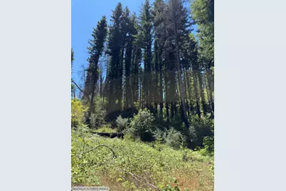 8158 Mill Creek Road, Healdsburg, CA 95448 - Photo 15