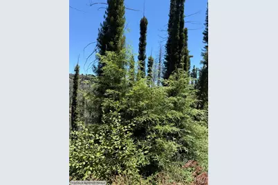 8158 Mill Creek Road, Healdsburg, CA 95448 - Photo 21