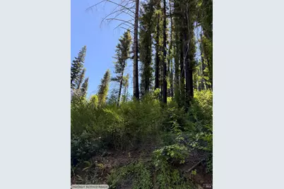 8158 Mill Creek Road, Healdsburg, CA 95448 - Photo 23