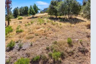 11111 Fairway Drive, Kelseyville, CA 95451 - Photo 9