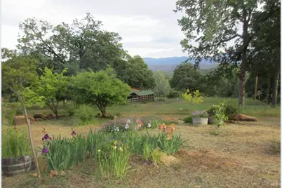 16934 Hofacker Lane, Lower Lake, CA 95457 - Photo 43