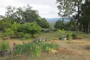 16934 Hofacker Ln, Lower Lake, CA 95457 - Photo 43